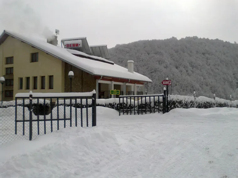 Заснеженият двор и къщата, зад тях гората